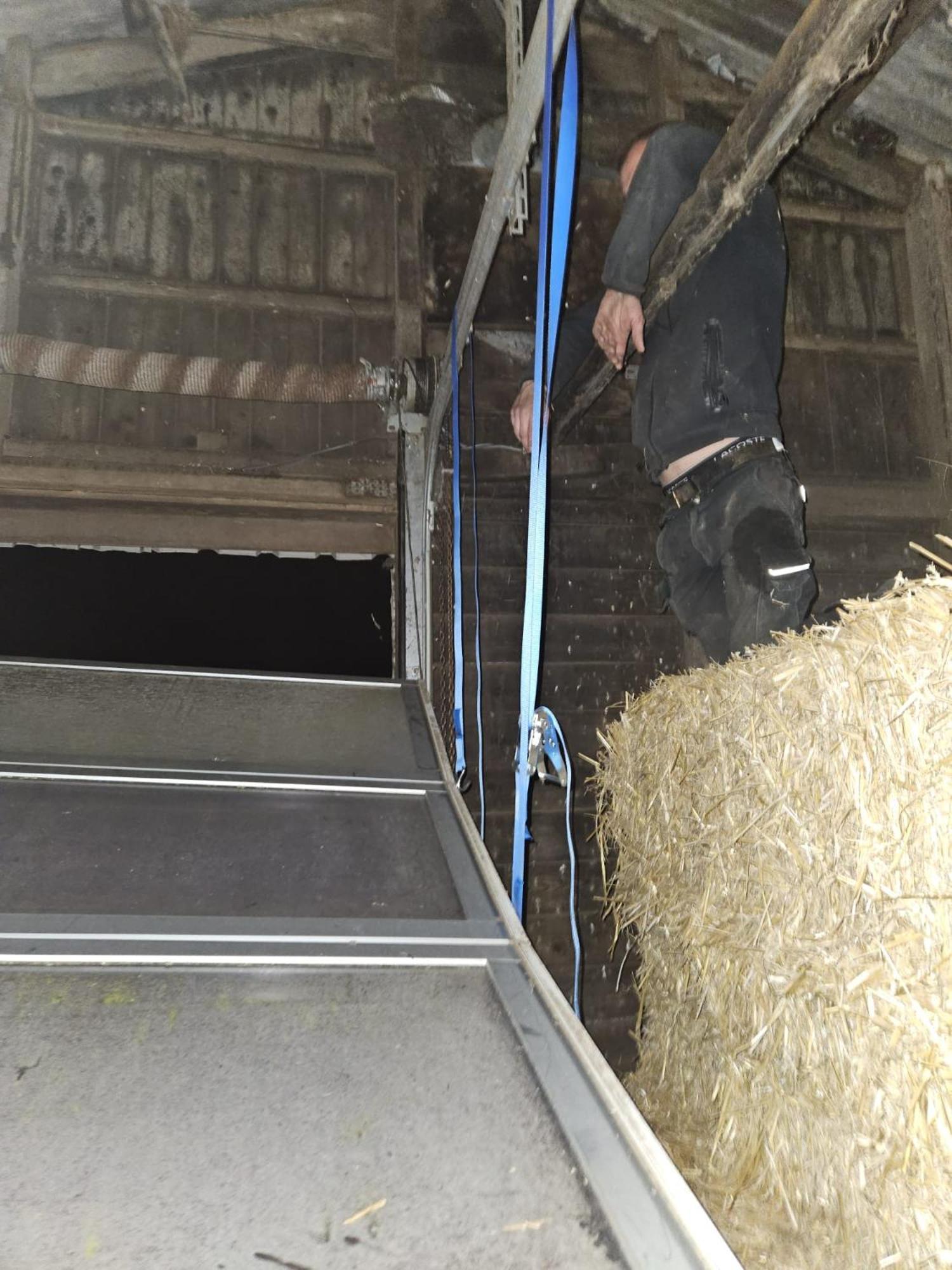 Benb Pieterburen Broek Bagian luar foto